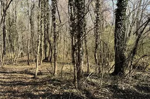 000 Barlow Ct, King, NC 27021 - Photo 38