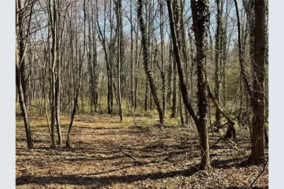 000 Barlow Court, King, NC 27021 - Photo 36