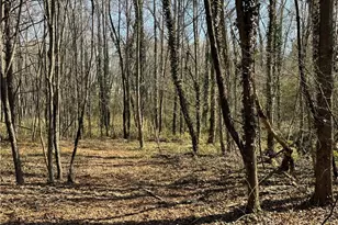 000 Barlow Ct, King, NC 27021 - Photo 36