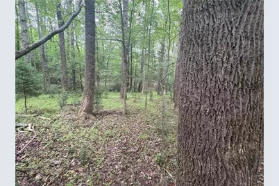 690 Goose Pond Road, Ruffin, NC 27326 - Photo 12