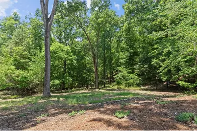 172 Lawson's Lookout, Denton, NC 27239 - Photo 44