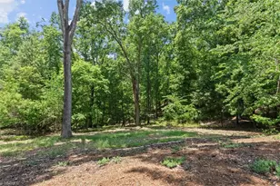 172 Lawsons Lookout, Denton, NC 27239 - Photo 44