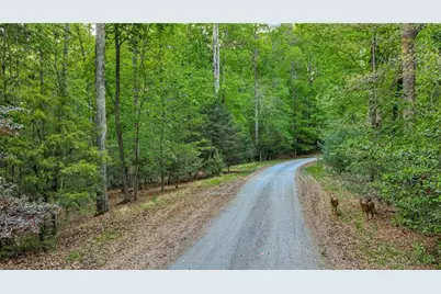 Tbd Nicole Lane, Wilkesboro, NC 28697 - Photo 6