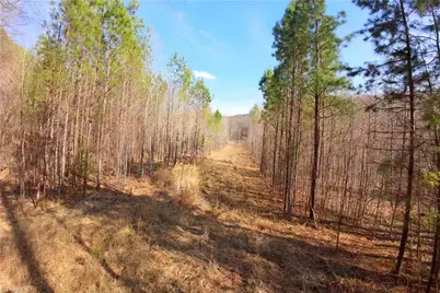 3313 Nc Highway 66 S, Westfield, NC 27053 - Photo 28