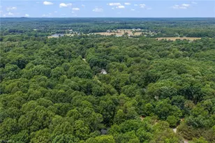 3311 Alex Dr, Hillsborough, NC 27278 - Photo 46