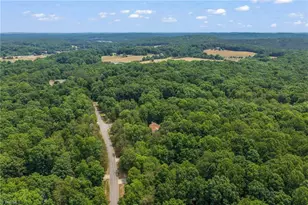 3311 Alex Dr, Hillsborough, NC 27278 - Photo 44