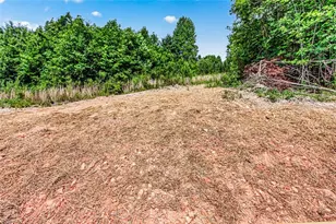 1503 Mulberry Academy St, Franklinville, NC 27248 - Photo 40