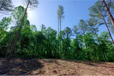 0 Carson Road, Cleveland, NC 27013 - Photo 6