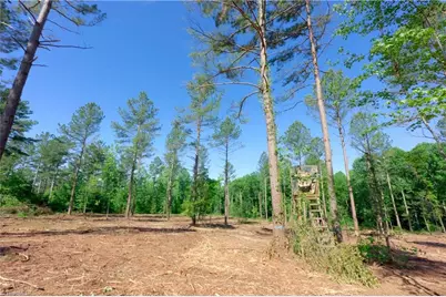 0 Carson Road, Cleveland, NC 27013 - Photo 8