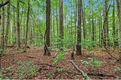 381 E Homestead Drive, Lexington, NC 27292 - Photo 26