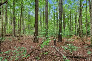 381 E Homestead Dr, Lexington, NC 27292 - Photo 26