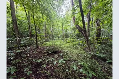 7767 Pearman Quarry Road, Kernersville, NC 27284 - Photo 10