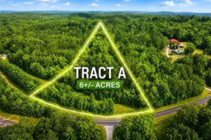 Tbd Tract A Bellview Rd, Robbins, NC 27325 - Photo 1