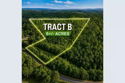 Tbd Tract B Bellview Road, Robbins, NC 27325 - Photo 1