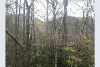 2238 Longbottom Road, McGrady, NC 28649 - Photo 20