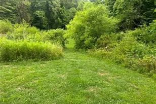 1085 Oak Forest Rd, Tobaccoville, NC 27050 - Photo 20