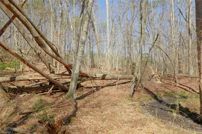 6 Old Mill Road, Pinnacle, NC 27043 - Photo 12