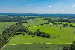 6350 Roscoe Rd, Denton, NC 27239 - Photo 50