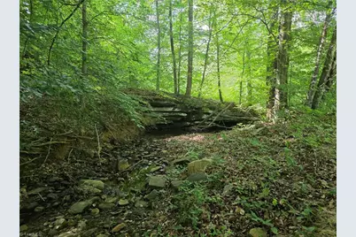 Xx 31.85 +-Ac Hampton Road, Germanton, NC 27019 - Photo 14
