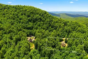 255 Treadway Ridge Rd, Moravian Falls, NC 28654 - Photo 48