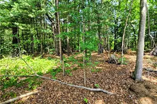 171 Idlewild Dr, Randleman, NC 27317 - Photo 26