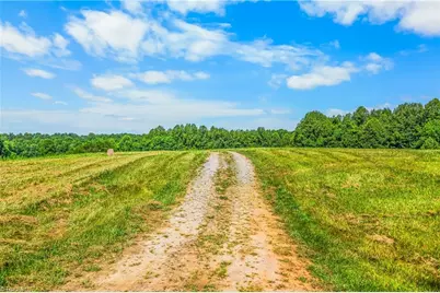 157 Buttercup Lane, Ararat, NC 27007 - Photo 4