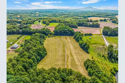 157 Buttercup Lane, Ararat, NC 27007 - Photo 22