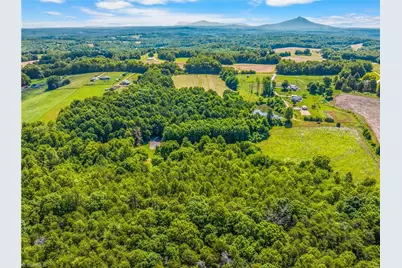157 Buttercup Lane, Ararat, NC 27007 - Photo 24