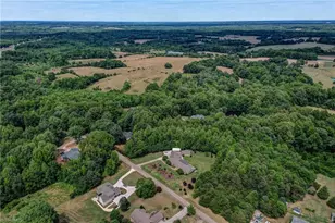 8106 Breezy Hill Dr, Browns Summit, NC 27214 - Photo 48
