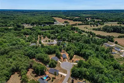 157 Delia Run, Madison, NC 27025 - Photo 38