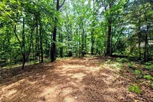 0 Idlewild Dr, Randleman, NC 27317 - Photo 1