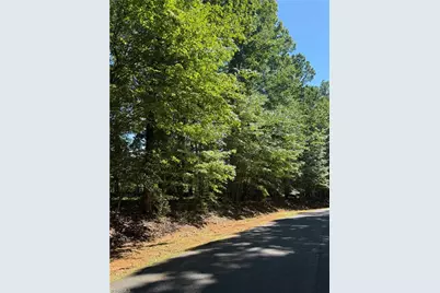 0 Pine Forest Drive S, Siler City, NC 27344 - Photo 4