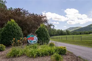 399 Jonathan Dr, Lowgap, NC 27024 - Photo 50