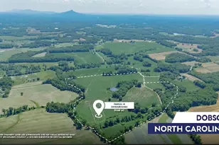 460 Greene Rd, Dobson, NC 27017 - Photo 1