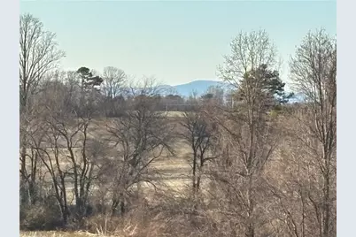 460 Greene Road, Dobson, NC 27017 - Photo 32