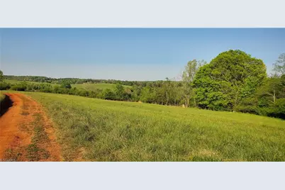 795 Elk Shoals Church Loop, Stony Point, NC 28678 - Photo 4