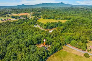 2058 Pleasant View Church Rd, Danbury, NC 27016 - Photo 26