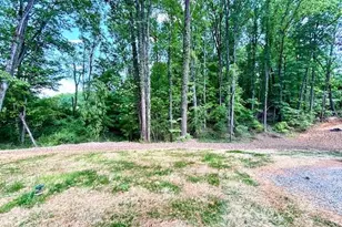 7471 Olin Rd, Pfafftown, NC 27040 - Photo 44