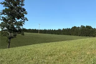 1779 Roundhill Church Rd, Traphill, NC 28685 - Photo 22