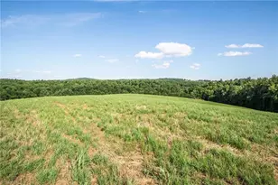1779 Roundhill Church Rd, Traphill, NC 28685 - Photo 16