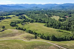1779 Roundhill Church Rd, Traphill, NC 28685 - Photo 12