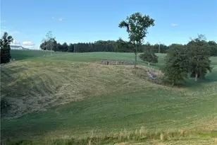 1779 Roundhill Church Rd, Traphill, NC 28685 - Photo 20