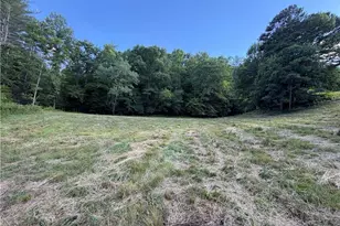 1779 Roundhill Church Rd, Traphill, NC 28685 - Photo 32