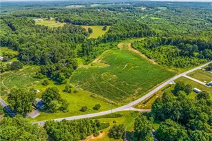 3323 Rockford Rd, Dobson, NC 27017 - Photo 46