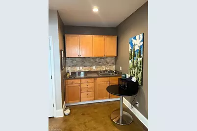217 E Lewis Street, Greensboro, NC 27406 - Photo 10