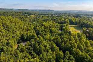 274 Echo Hollar Rd, Westfield, NC 27053 - Photo 38