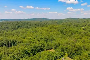 274 Echo Hollar Rd, Westfield, NC 27053 - Photo 40