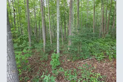Tbd W Meadow Parkway, Moravian Falls, NC 28654 - Photo 4