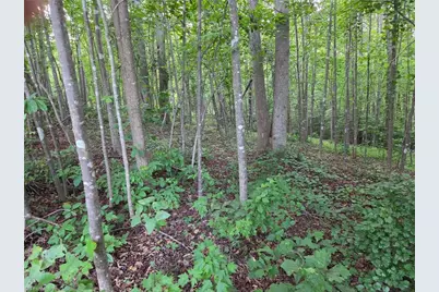 Tbd W Meadow Parkway, Moravian Falls, NC 28654 - Photo 10