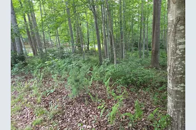 Tbd W Meadow Parkway, Moravian Falls, NC 28654 - Photo 6
